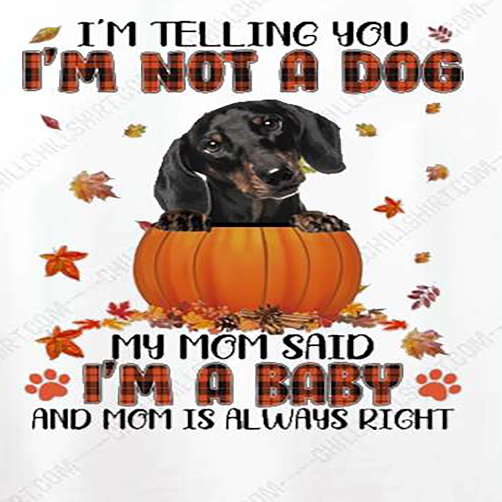 Nice Autumn Baby Black Dachshund Halloween I'm Telling You I'm Not a dog my mom said I'm a baby and mom is always right shirt