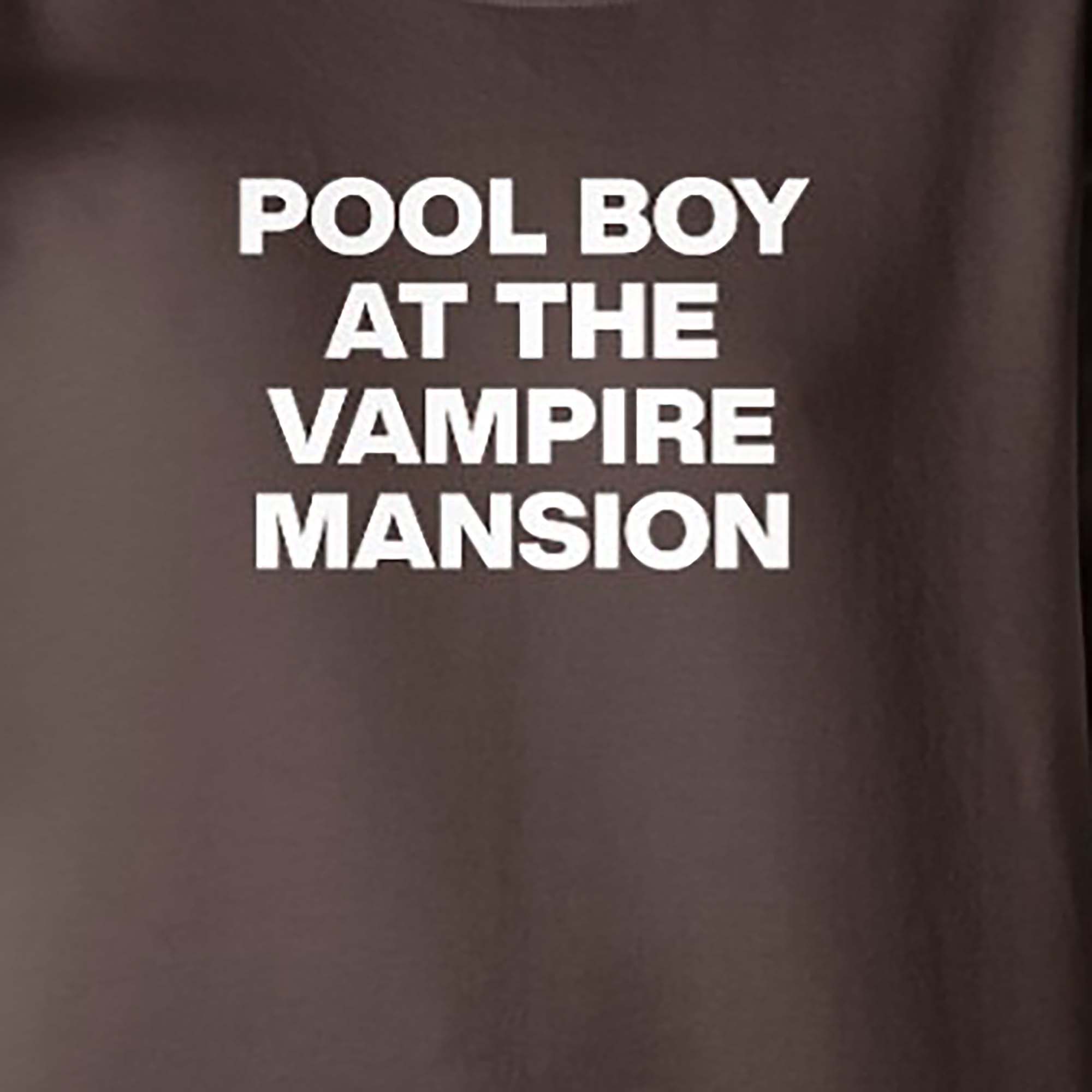 Pool Boy At The Vampire Mansion Shirt