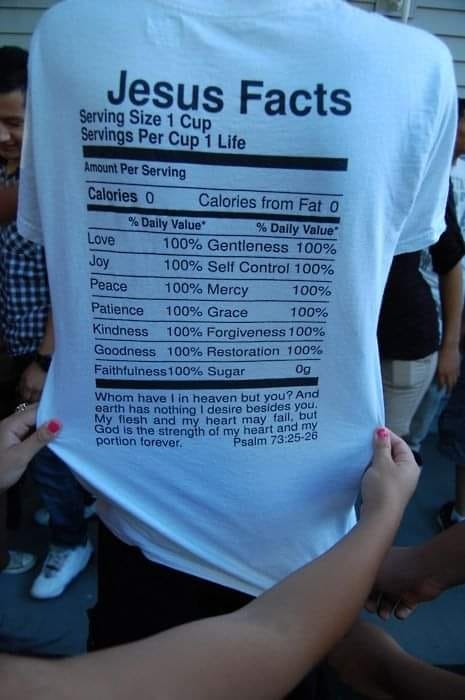 Jesus Facts SHIRT