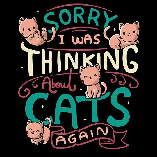 Cat sorry I was thinking about cats again shirt