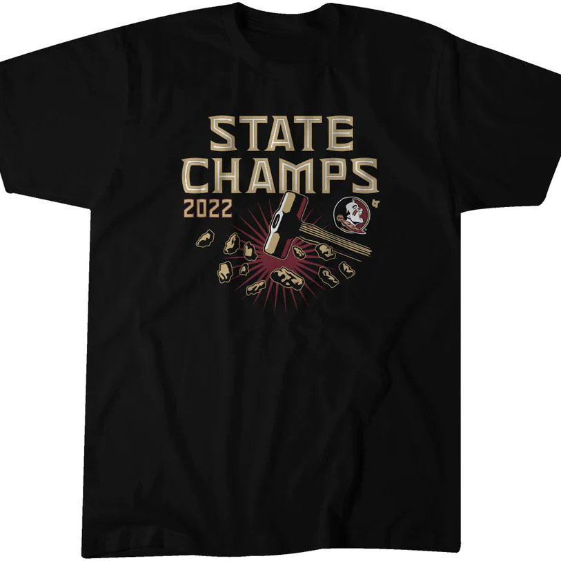 Florida State Football State Champs shirt