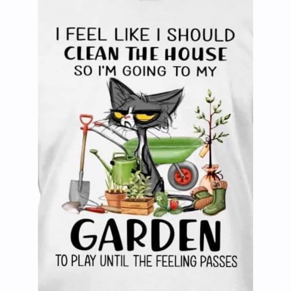 Black cat I feel like I should clean the house so i'm going to my garden to play until the feeling passes shirt