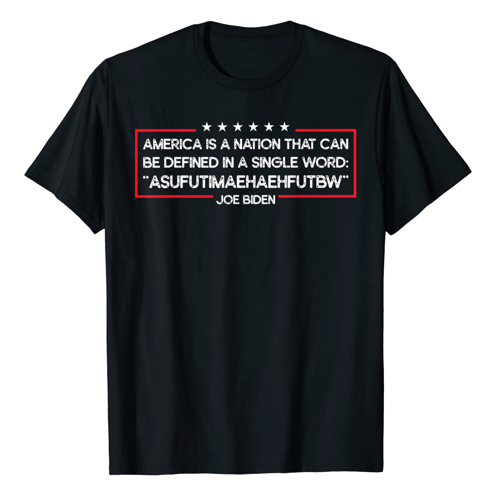 Biden America Can Be Defined In Single Word shirt